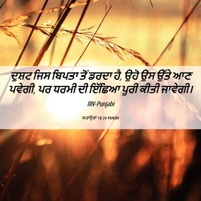 Picture 06 - ਕਹਾਉਤਾਂ 10:24 PANIRV - ਦੁਸ਼ਟ ਜਿਸ ਬਿਪਤਾ - Bible Verse Picture