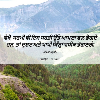Picture 06 - ਕਹਾਉਤਾਂ 11:31 PANIRV - ਵੇਖੋ, ਧਰਮੀ ਵੀ ਇਸ - Bible Verse Picture