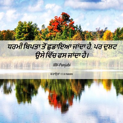Picture 06 - ਕਹਾਉਤਾਂ 11:8 PANIRV - ਧਰਮੀ ਬਿਪਤਾ ਤੋਂ - Bible Verse Picture