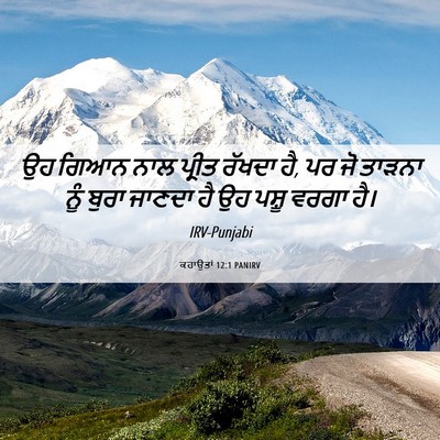 Picture 06 - ਕਹਾਉਤਾਂ 12:1 PANIRV - ਉਹ ਗਿਆਨ ਨਾਲ ਪ੍ਰੀਤ - Bible Verse Picture