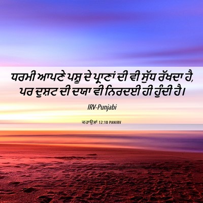 Picture 06 - ਕਹਾਉਤਾਂ 12:10 PANIRV - ਧਰਮੀ ਆਪਣੇ ਪਸ਼ੂ ਦੇ - Bible Verse Picture