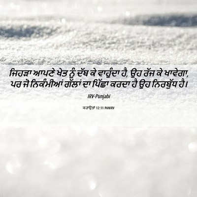 Picture 06 - ਕਹਾਉਤਾਂ 12:11 PANIRV - ਜਿਹੜਾ ਆਪਣੇ ਖੇਤ ਨੂੰ - Bible Verse Picture