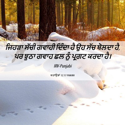 Picture 06 - ਕਹਾਉਤਾਂ 12:17 PANIRV - ਜਿਹੜਾ ਸੱਚੀ ਗਵਾਹੀ - Bible Verse Picture