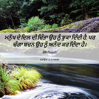 Picture 06 - ਕਹਾਉਤਾਂ 12:25 PANIRV - ਮਨੁੱਖ ਦੇ ਦਿਲ ਦੀ - Bible Verse Picture