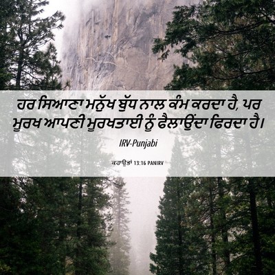 Picture 06 - ਕਹਾਉਤਾਂ 13:16 PANIRV - ਹਰ ਸਿਆਣਾ ਮਨੁੱਖ - Bible Verse Picture
