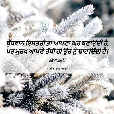 Picture 06 - ਕਹਾਉਤਾਂ 14:1 PANIRV - ਬੁੱਧਵਾਨ ਇਸਤਰੀ ਤਾਂ - Bible Verse Picture