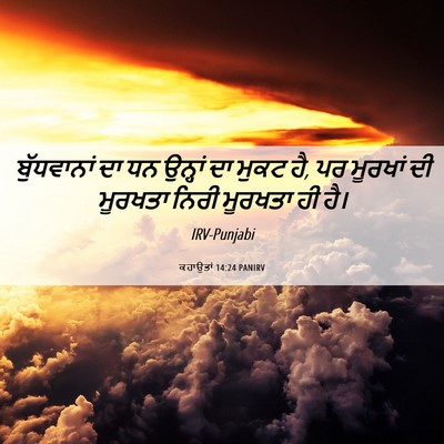 Picture 06 - ਕਹਾਉਤਾਂ 14:24 PANIRV - ਬੁੱਧਵਾਨਾਂ ਦਾ ਧਨ - Bible Verse Picture