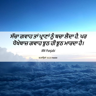 Picture 06 - ਕਹਾਉਤਾਂ 14:25 PANIRV - ਸੱਚਾ ਗਵਾਹ ਤਾਂ - Bible Verse Picture
