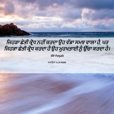 Picture 06 - ਕਹਾਉਤਾਂ 14:29 PANIRV - ਜਿਹੜਾ ਛੇਤੀ ਕ੍ਰੋਧ - Bible Verse Picture