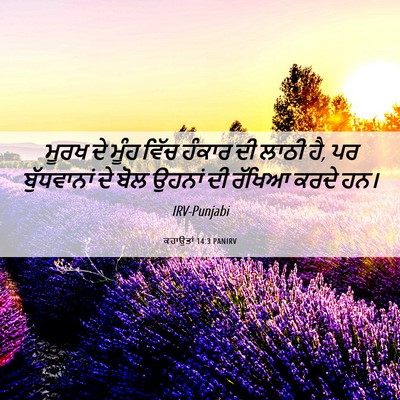 Picture 06 - ਕਹਾਉਤਾਂ 14:3 PANIRV - ਮੂਰਖ ਦੇ ਮੂੰਹ ਵਿੱਚ - Bible Verse Picture