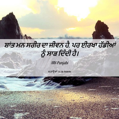 Picture 06 - ਕਹਾਉਤਾਂ 14:30 PANIRV - ਸ਼ਾਂਤ ਮਨ ਸਰੀਰ ਦਾ - Bible Verse Picture
