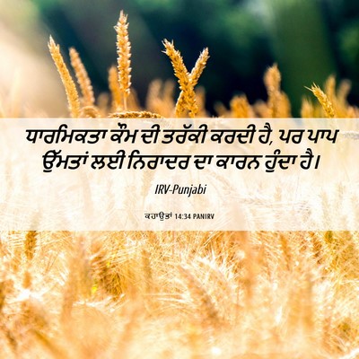 Picture 06 - ਕਹਾਉਤਾਂ 14:34 PANIRV - ਧਾਰਮਿਕਤਾ ਕੌਮ ਦੀ - Bible Verse Picture