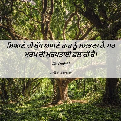Picture 06 - ਕਹਾਉਤਾਂ 14:8 PANIRV - ਸਿਆਣੇ ਦੀ ਬੁੱਧ ਆਪਣੇ - Bible Verse Picture