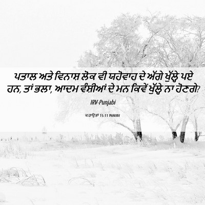 Picture 06 - ਕਹਾਉਤਾਂ 15:11 PANIRV - ਪਤਾਲ ਅਤੇ ਵਿਨਾਸ਼ - Bible Verse Picture