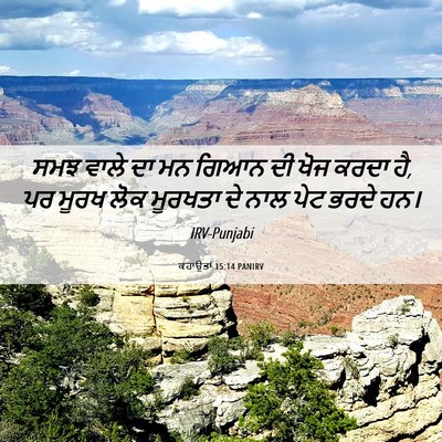 Picture 06 - ਕਹਾਉਤਾਂ 15:14 PANIRV - ਸਮਝ ਵਾਲੇ ਦਾ ਮਨ ਗਿਆਨ - Bible Verse Picture