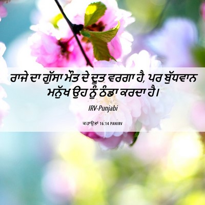 Picture 06 - ਕਹਾਉਤਾਂ 16:14 PANIRV - ਰਾਜੇ ਦਾ ਗੁੱਸਾ ਮੌਤ - Bible Verse Picture