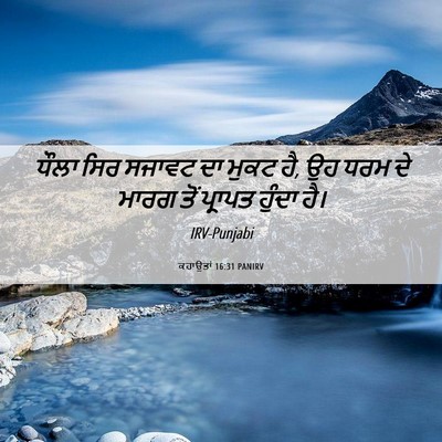 Picture 06 - ਕਹਾਉਤਾਂ 16:31 PANIRV - ਧੌਲਾ ਸਿਰ ਸਜਾਵਟ ਦਾ - Bible Verse Picture