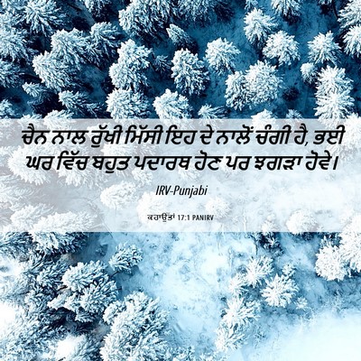 Picture 06 - ਕਹਾਉਤਾਂ 17:1 PANIRV - ਚੈਨ ਨਾਲ ਰੁੱਖੀ - Bible Verse Picture