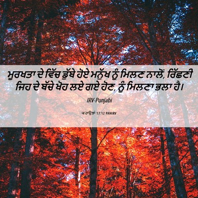 Picture 06 - ਕਹਾਉਤਾਂ 17:12 PANIRV - ਮੂਰਖਤਾ ਦੇ ਵਿੱਚ - Bible Verse Picture