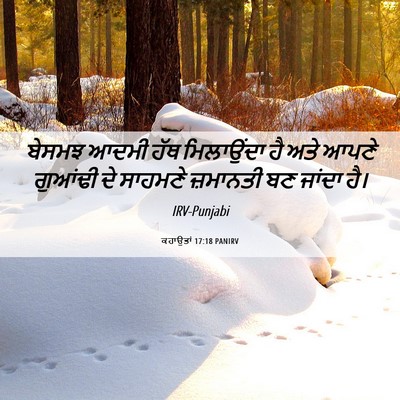 Picture 06 - ਕਹਾਉਤਾਂ 17:18 PANIRV - ਬੇਸਮਝ ਆਦਮੀ ਹੱਥ - Bible Verse Picture