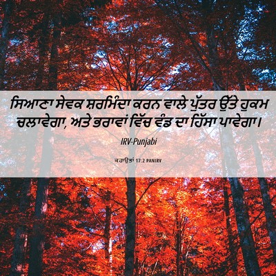 Picture 06 - ਕਹਾਉਤਾਂ 17:2 PANIRV - ਸਿਆਣਾ ਸੇਵਕ - Bible Verse Picture