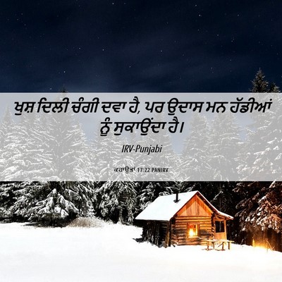 Picture 06 - ਕਹਾਉਤਾਂ 17:22 PANIRV - ਖੁਸ਼ ਦਿਲੀ ਚੰਗੀ ਦਵਾ - Bible Verse Picture