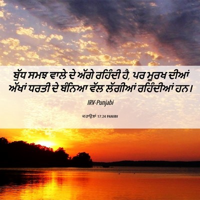Picture 06 - ਕਹਾਉਤਾਂ 17:24 PANIRV - ਬੁੱਧ ਸਮਝ ਵਾਲੇ ਦੇ - Bible Verse Picture
