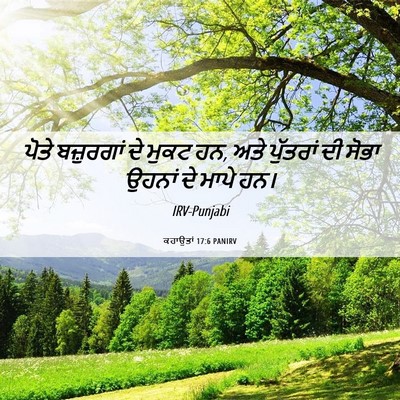 Picture 06 - ਕਹਾਉਤਾਂ 17:6 PANIRV - ਪੋਤੇ ਬਜ਼ੁਰਗਾਂ ਦੇ - Bible Verse Picture