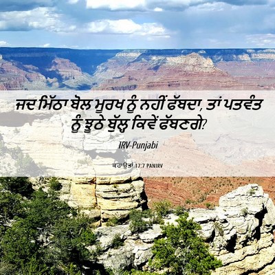 Picture 06 - ਕਹਾਉਤਾਂ 17:7 PANIRV - ਜਦ ਮਿੱਠਾ ਬੋਲ ਮੂਰਖ - Bible Verse Picture