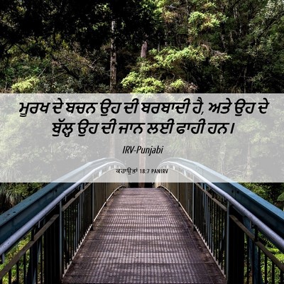 Picture 06 - ਕਹਾਉਤਾਂ 18:7 PANIRV - ਮੂਰਖ ਦੇ ਬਚਨ ਉਹ ਦੀ - Bible Verse Picture