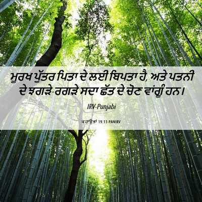 Picture 06 - ਕਹਾਉਤਾਂ 19:13 PANIRV - ਮੂਰਖ ਪੁੱਤਰ ਪਿਤਾ ਦੇ - Bible Verse Picture