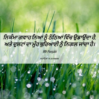 Picture 06 - ਕਹਾਉਤਾਂ 19:28 PANIRV - ਨਿਕੰਮਾ ਗਵਾਹ ਨਿਆਂ - Bible Verse Picture
