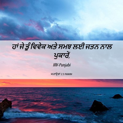 Picture 06 - ਕਹਾਉਤਾਂ 2:3 PANIRV - ਹਾਂ ਜੇ ਤੂੰ ਵਿਵੇਕ - Bible Verse Picture