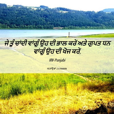 Picture 06 - ਕਹਾਉਤਾਂ 2:4 PANIRV - ਜੇ ਤੂੰ ਚਾਂਦੀ - Bible Verse Picture