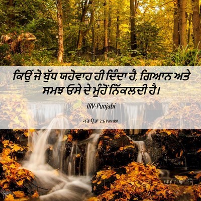 Picture 06 - ਕਹਾਉਤਾਂ 2:6 PANIRV - ਕਿਉਂ ਜੋ ਬੁੱਧ - Bible Verse Picture