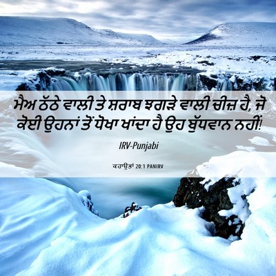 Picture 06 - ਕਹਾਉਤਾਂ 20:1 PANIRV - ਮੈਅ ਠੱਠੇ ਵਾਲੀ ਤੇ - Bible Verse Picture