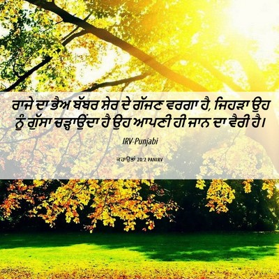 Picture 06 - ਕਹਾਉਤਾਂ 20:2 PANIRV - ਰਾਜੇ ਦਾ ਭੈਅ ਬੱਬਰ - Bible Verse Picture
