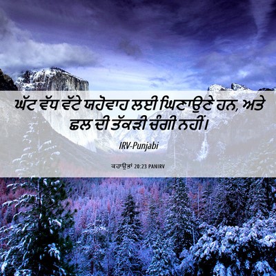 Picture 06 - ਕਹਾਉਤਾਂ 20:23 PANIRV - ਘੱਟ ਵੱਧ ਵੱਟੇ - Bible Verse Picture
