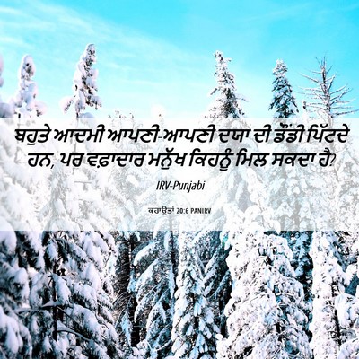 Picture 06 - ਕਹਾਉਤਾਂ 20:6 PANIRV - ਬਹੁਤੇ ਆਦਮੀ - Bible Verse Picture
