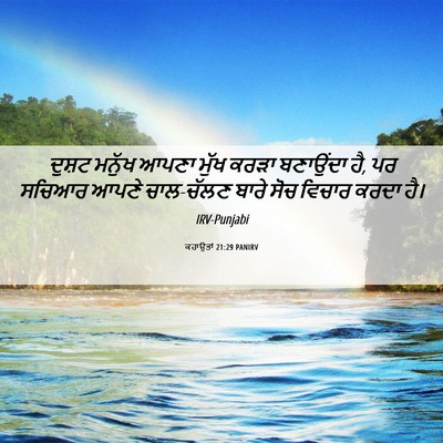 Picture 06 - ਕਹਾਉਤਾਂ 21:29 PANIRV - ਦੁਸ਼ਟ ਮਨੁੱਖ ਆਪਣਾ - Bible Verse Picture