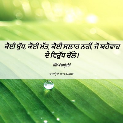 Picture 06 - ਕਹਾਉਤਾਂ 21:30 PANIRV - ਕੋਈ ਬੁੱਧ, ਕੋਈ ਮੱਤ, - Bible Verse Picture