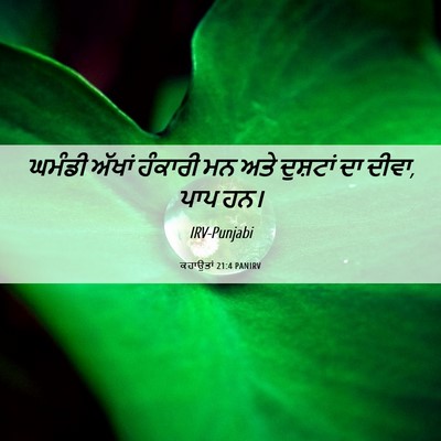 Picture 06 - ਕਹਾਉਤਾਂ 21:4 PANIRV - ਘਮੰਡੀ ਅੱਖਾਂ - Bible Verse Picture