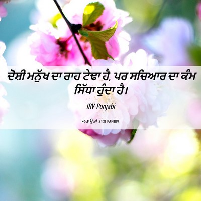 Picture 06 - ਕਹਾਉਤਾਂ 21:8 PANIRV - ਦੋਸ਼ੀ ਮਨੁੱਖ ਦਾ ਰਾਹ - Bible Verse Picture