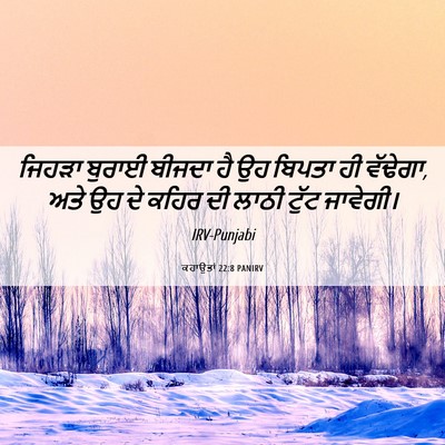 Picture 06 - ਕਹਾਉਤਾਂ 22:8 PANIRV - ਜਿਹੜਾ ਬੁਰਾਈ ਬੀਜਦਾ - Bible Verse Picture