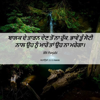 Picture 06 - ਕਹਾਉਤਾਂ 23:13 PANIRV - ਬਾਲਕ ਦੇ ਤਾੜਨ ਦੇਣ - Bible Verse Picture