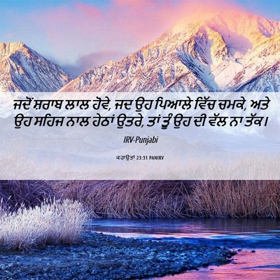 Picture 06 - ਕਹਾਉਤਾਂ 23:31 PANIRV - ਜਦੋਂ ਸ਼ਰਾਬ ਲਾਲ - Bible Verse Picture