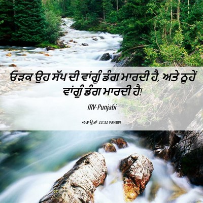 Picture 06 - ਕਹਾਉਤਾਂ 23:32 PANIRV - ਓੜਕ ਉਹ ਸੱਪ ਦੀ - Bible Verse Picture