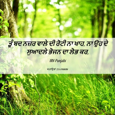 Picture 06 - ਕਹਾਉਤਾਂ 23:6 PANIRV - ਤੂੰ ਬਦ ਨਜ਼ਰ ਵਾਲੇ ਦੀ - Bible Verse Picture