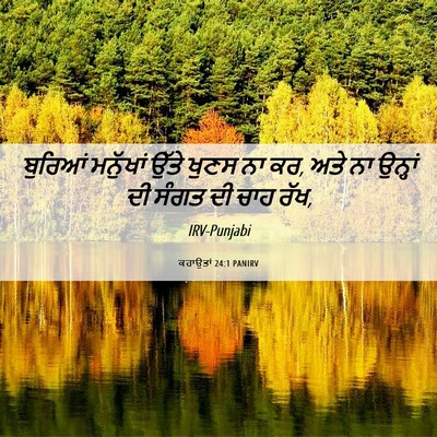 Picture 06 - ਕਹਾਉਤਾਂ 24:1 PANIRV - ਬੁਰਿਆਂ ਮਨੁੱਖਾਂ - Bible Verse Picture
