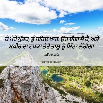 Picture 06 - ਕਹਾਉਤਾਂ 24:13 PANIRV - ਹੇ ਮੇਰੇ ਪੁੱਤਰ, ਤੂੰ - Bible Verse Picture
